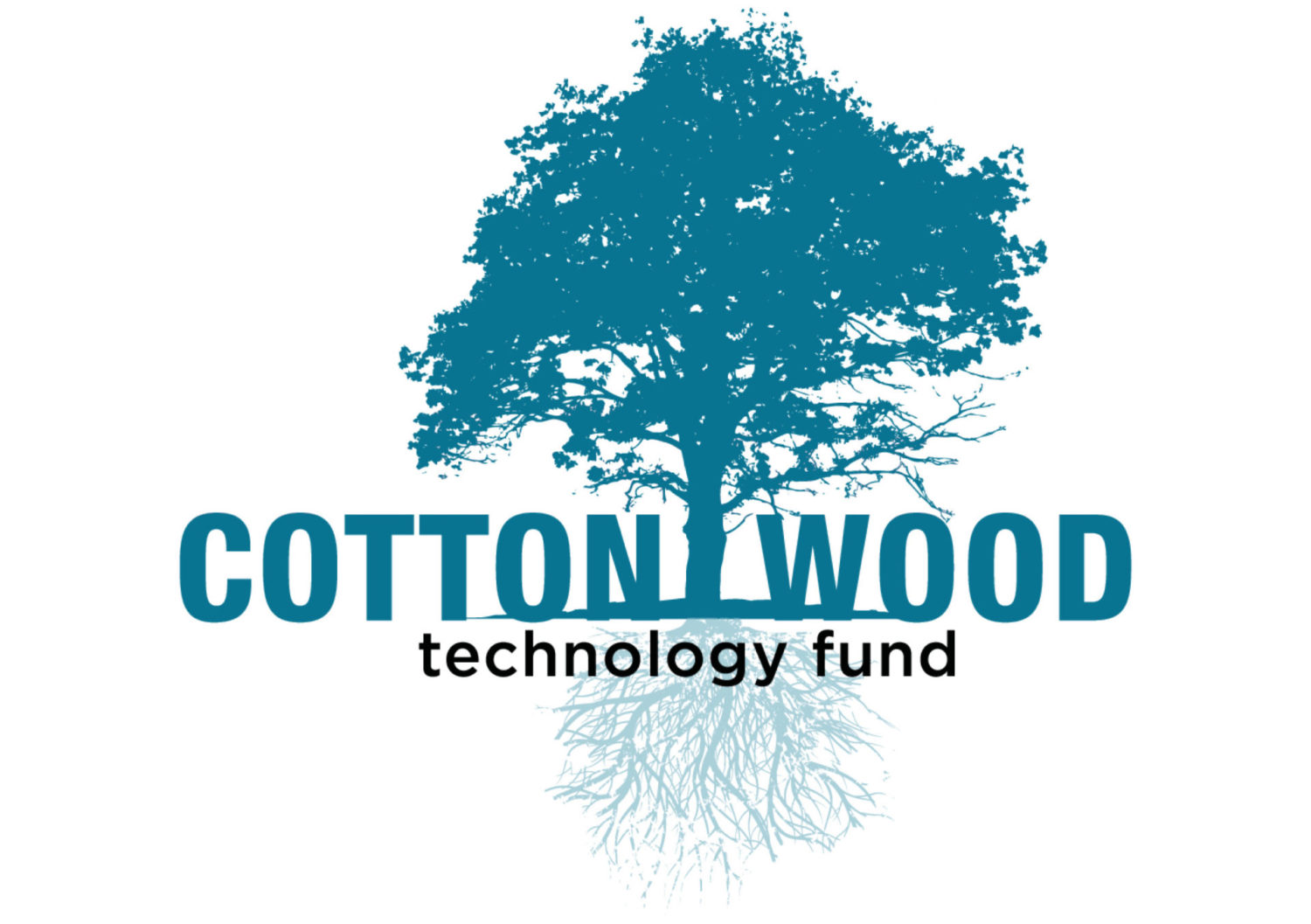 Cottonwood Technology Fund