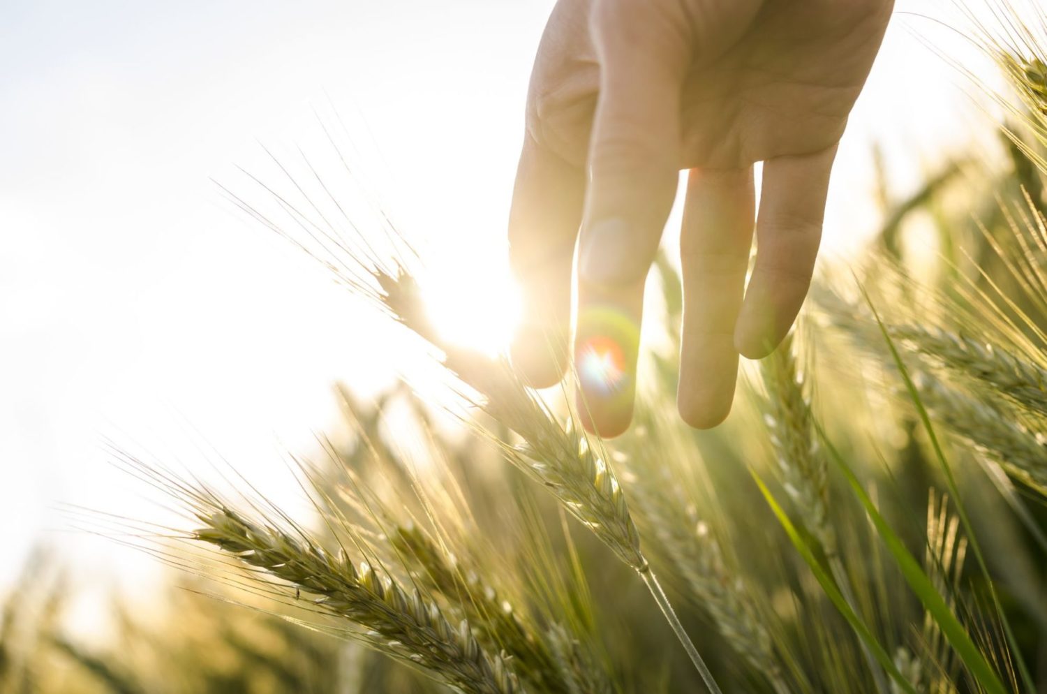 Agro Agenda Noord-Nederland