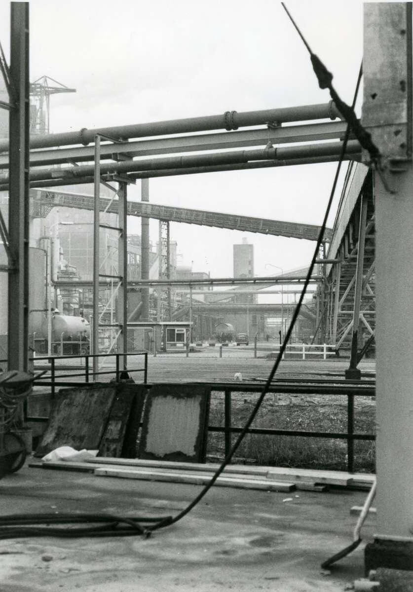 Delfzijl, Farmsum, Oosterhorn