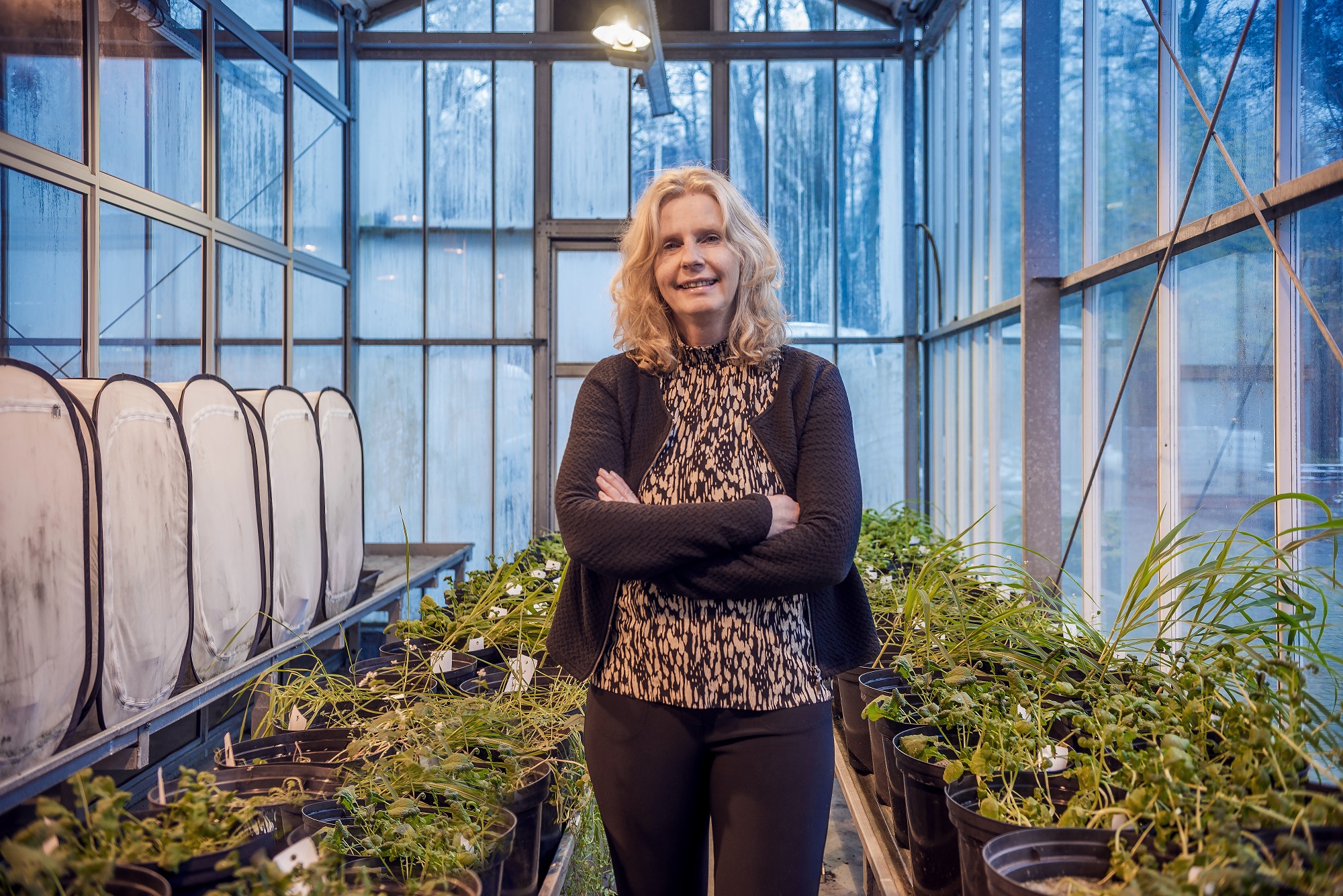 Janny Peltjes, oprichter en CEO van HLB Group