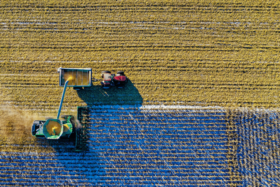 Agrarisch veld