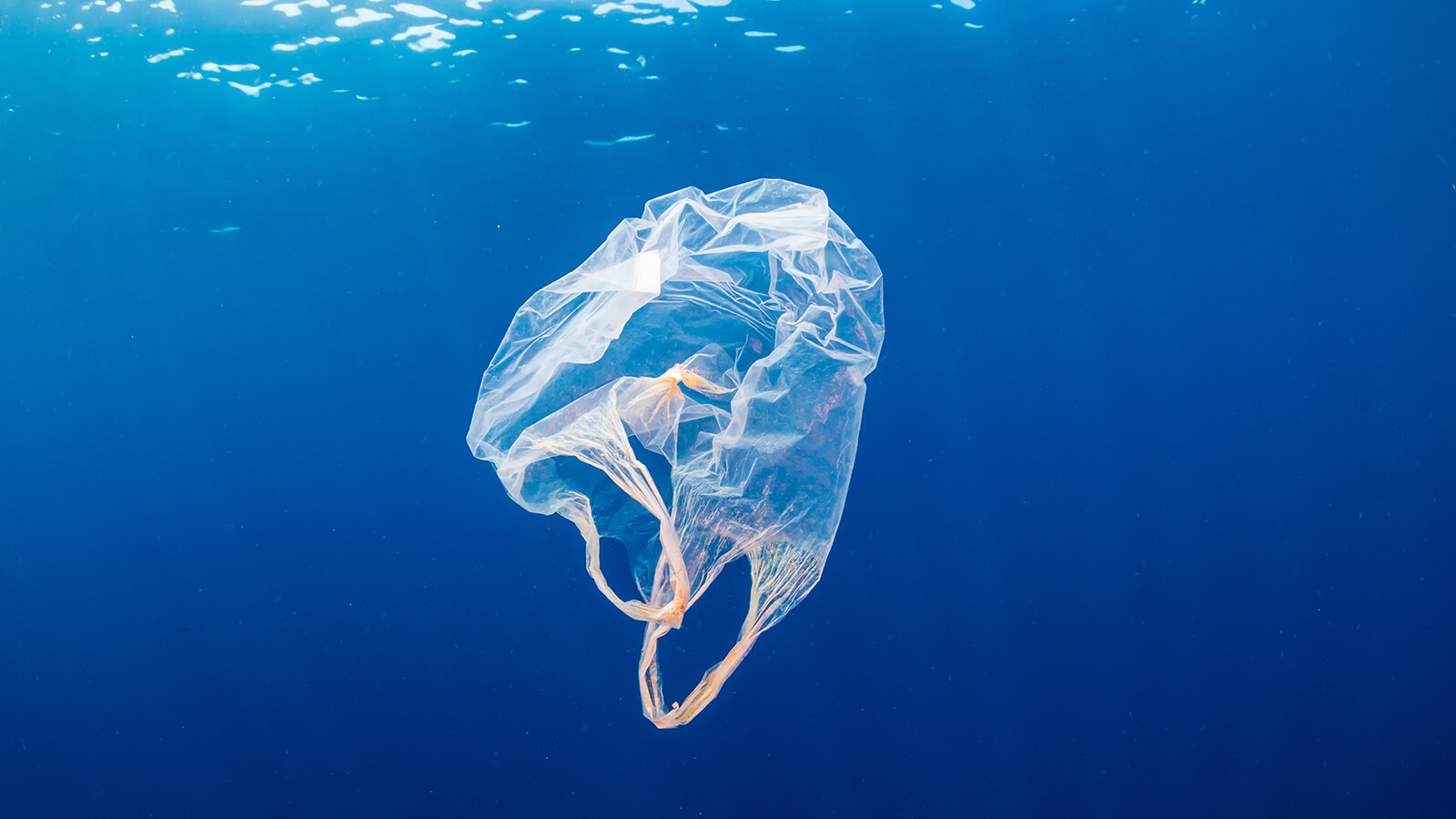 plastiek tas in de oceaan