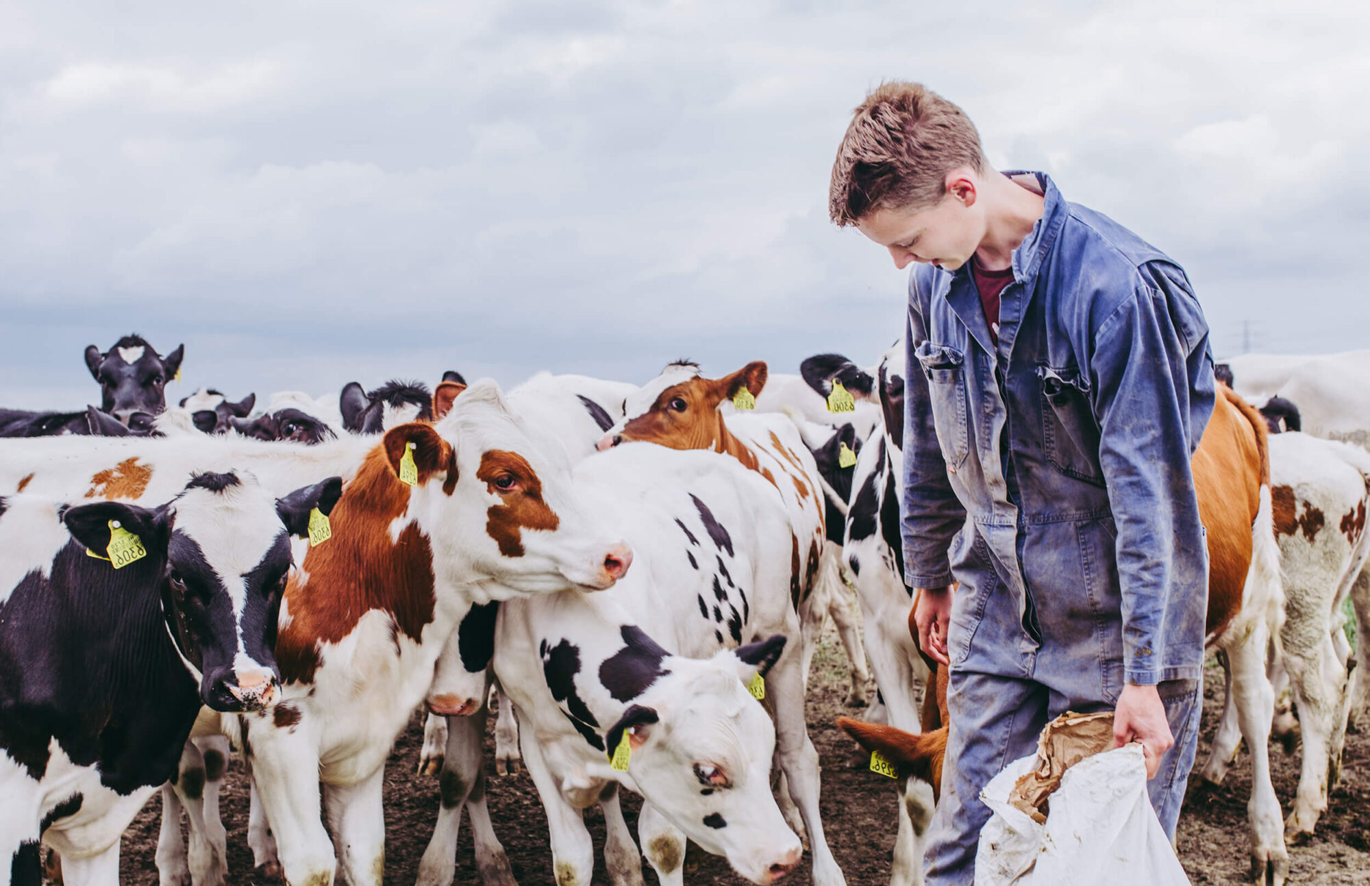 Voedsel 01 2000×1294