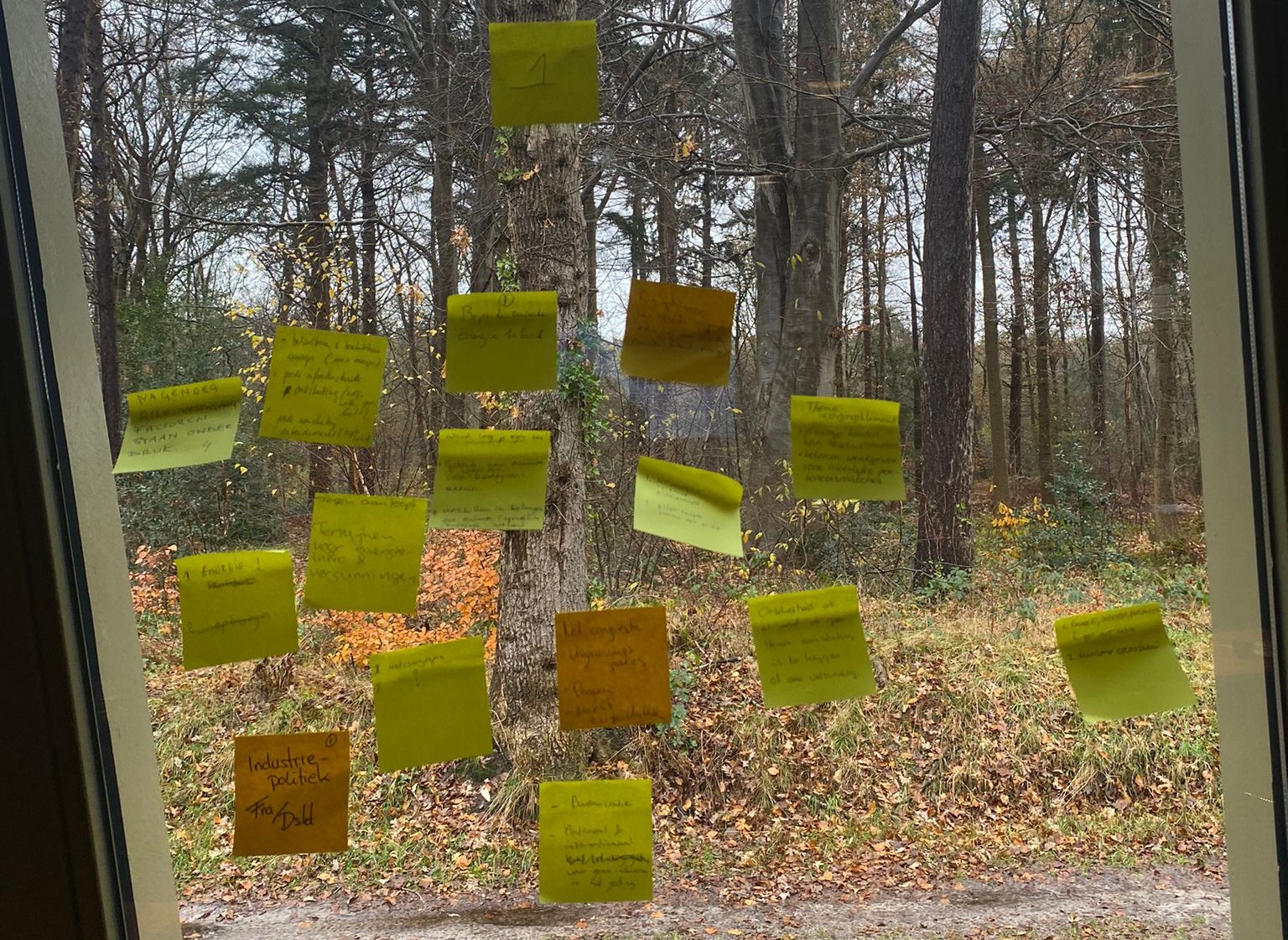 Afbeelding van WhatsApp op 2024-11-26 om 08.32.50_07724057 (bewerkt)