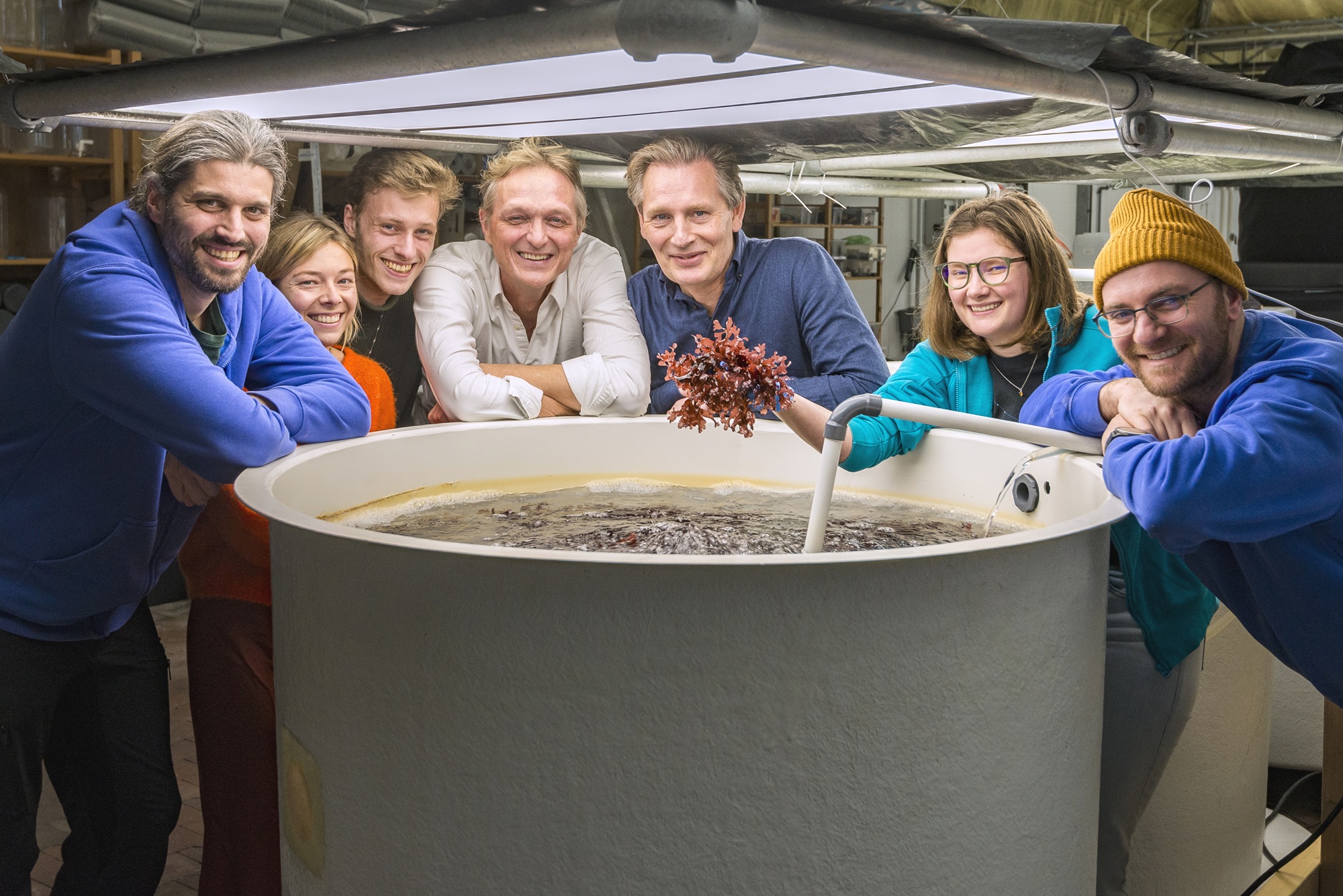 Team Seaweedland
