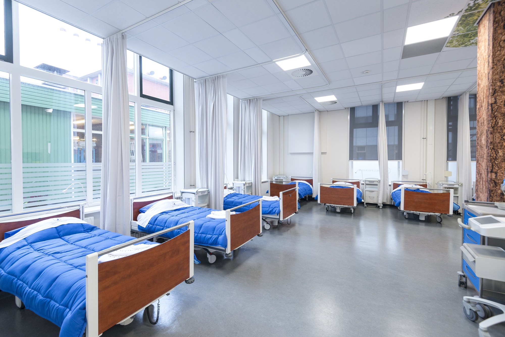 De kliniek van Delphinium