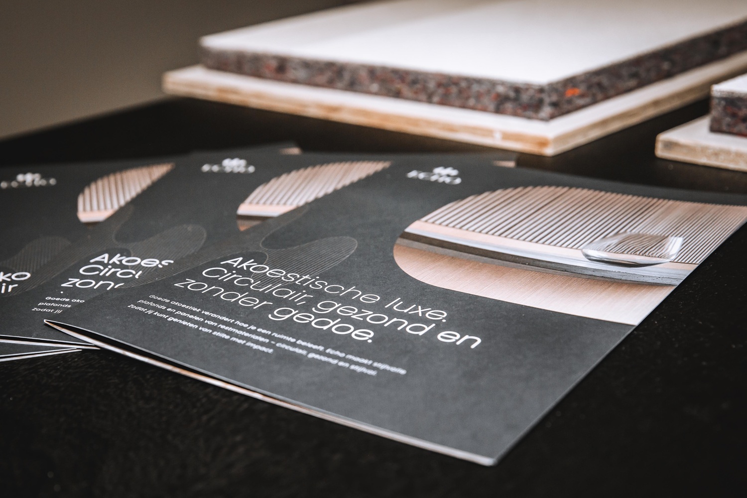 Een fotoboek met foto's van producten van Echo Acoustic