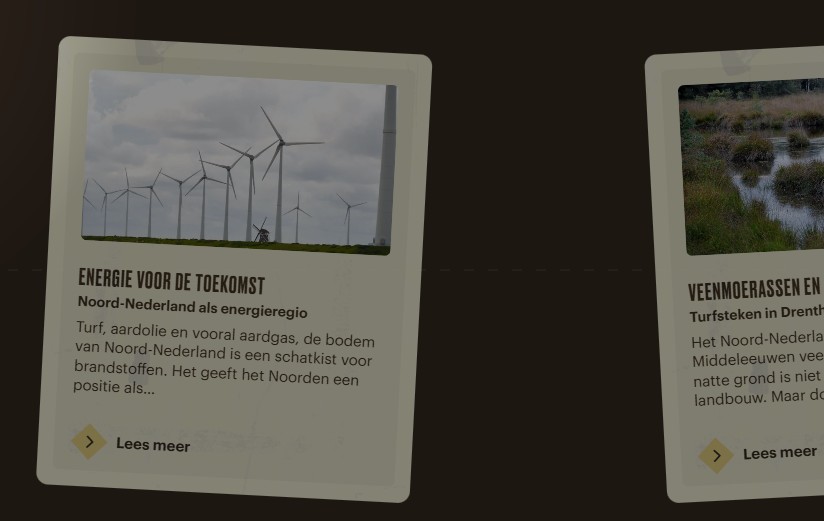 Een screenshot van de website