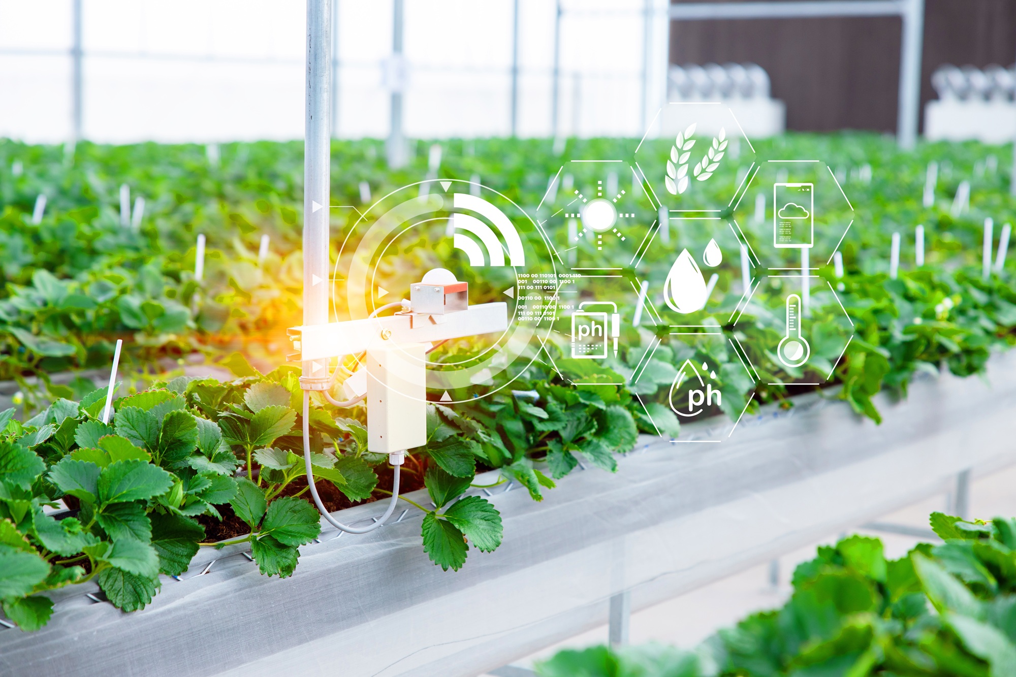Agriculture,Smart,Farming,Technology,Sensor,Co2,Humidity,Lighting,Temperature,Monitoring