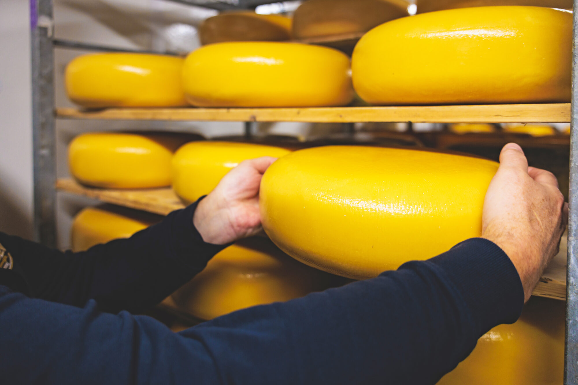 NedMag_Venehoeve_RZeemering_HR-5