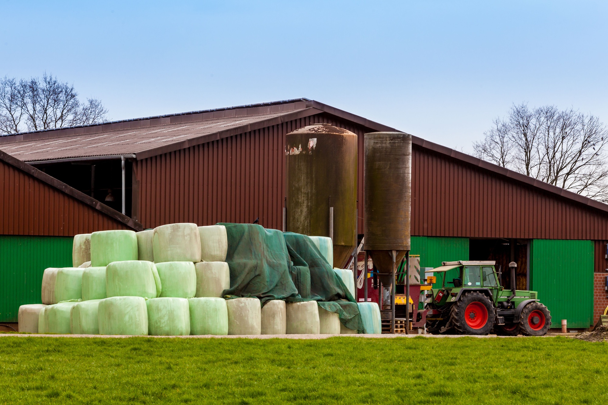 Dairy Farm. farm buildings